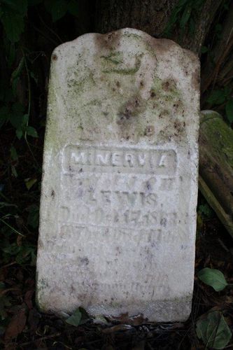 Click to view full size image