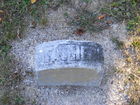 Filename=DSCF2613.JPG
Filesize=1579KiB
Dimensions=1299x974
Date added=Sep 21, 2010 DSCF2613.JPG