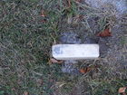 Filename=DSCF2661.JPG
Filesize=1659KiB
Dimensions=1299x974
Date added=Sep 21, 2010 DSCF2661.JPG