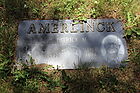 Amerlinck2C_Pat.jpg