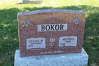 Bokor2C_Mic.jpg
