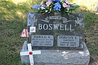 Boswell2C_Har.jpg
