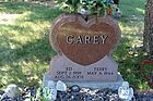 Carey2C_Ed.jpg