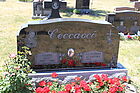 Ceccacci2C_Gui.jpg
