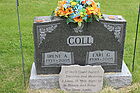 Coll2C_Ear.jpg