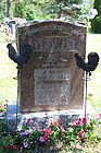 Dowd2C_W.jpg
