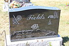 Fields2C_Ken.jpg