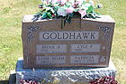 Goldhawk2C_Ly.jpg
