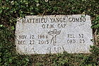Gombo2C_Mat.jpg