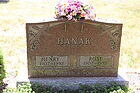 Hanak2C_Hen.jpg