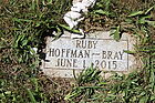 Hoffman-Bray2C_Ru.jpg