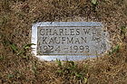 Kaufman2C_Cha.jpg