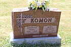 Komon2C_Ant.jpg
