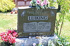 Luiking2C_Ber.jpg