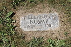 Nowak2C_Ele.jpg