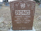 Filename=P1250809__NML-C2C__BOND.JPG
Filesize=323KiB
Dimensions=1100x825
Date added=Dec 09, 2023 P1250809__NML-C2C__BOND.JPG