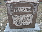 P1250823__NML-C2C__WATSON.JPG