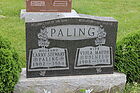 Paling2C_Lar.jpg