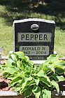 Pepper2C_Ron.jpg