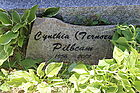 Pilbeam2C_Cyn.jpg