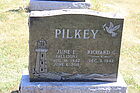 Pilkey2C_Ric.jpg