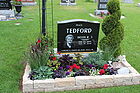 Tedford2C_Dev.jpg
