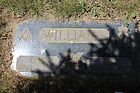 Williams2C_Er.jpg