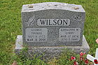 Wilson2C_Geo.jpg