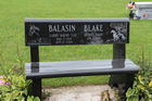Balasin2C_La.jpg