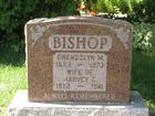 Bishop2C_Gwen.jpg