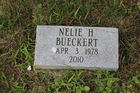 Bueckert2C_Nelie_H.jpg