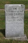 Carter2C_Dora.jpg