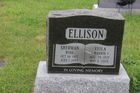 Ellison2C_Sh.jpg