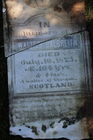 Filename=Galbreith2C_Wa2.jpg
Filesize=267KiB
Dimensions=400x600
Date added=Jan 03, 2016 Galbreith2C_Wa2.jpg