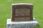 Gillies2C_Co.jpg