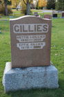 Gillies2C_Net.jpg