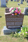 Goodman2C_Ge.jpg