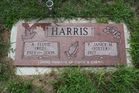 Filename=Harris2C_AF___PJ.jpg
Filesize=198KiB
Dimensions=1024x683
Date added=Jul 12, 2012 Harris2C_AF___PJ.jpg