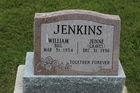 Jenkins2C_Wi.jpg