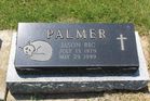 Palmer2C_Ja.jpg