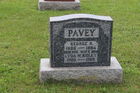 Pavey2C_Ge.jpg