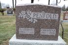 Penfold2C_GS___C.jpg