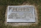 Pepper2C_He.jpg
