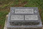 Reynolds2C_Be.JPG