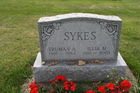 Sykes2C_Tr.jpg