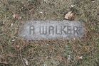 Walker2C_A.jpg