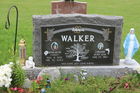 Walker2C_Br.jpg