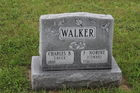 Walker2C_Ch.jpg