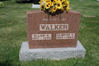 Walker2C_Cl.jpg