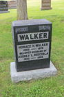Walker2C_Ho.jpg